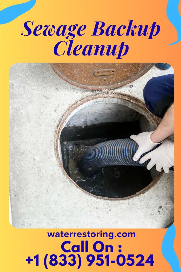 Sewage Backup Cleanup in Lampasas, TX