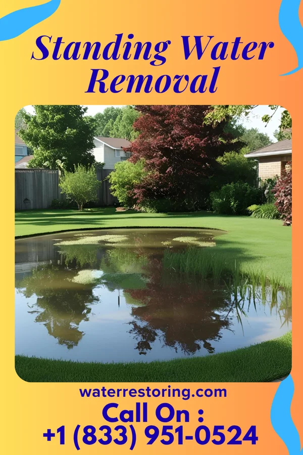 Standing Water Removal in Lampasas, TX